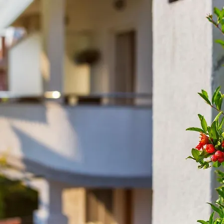 Апартаменты Cozy Designed & Sea View Sulye, Sibenik *